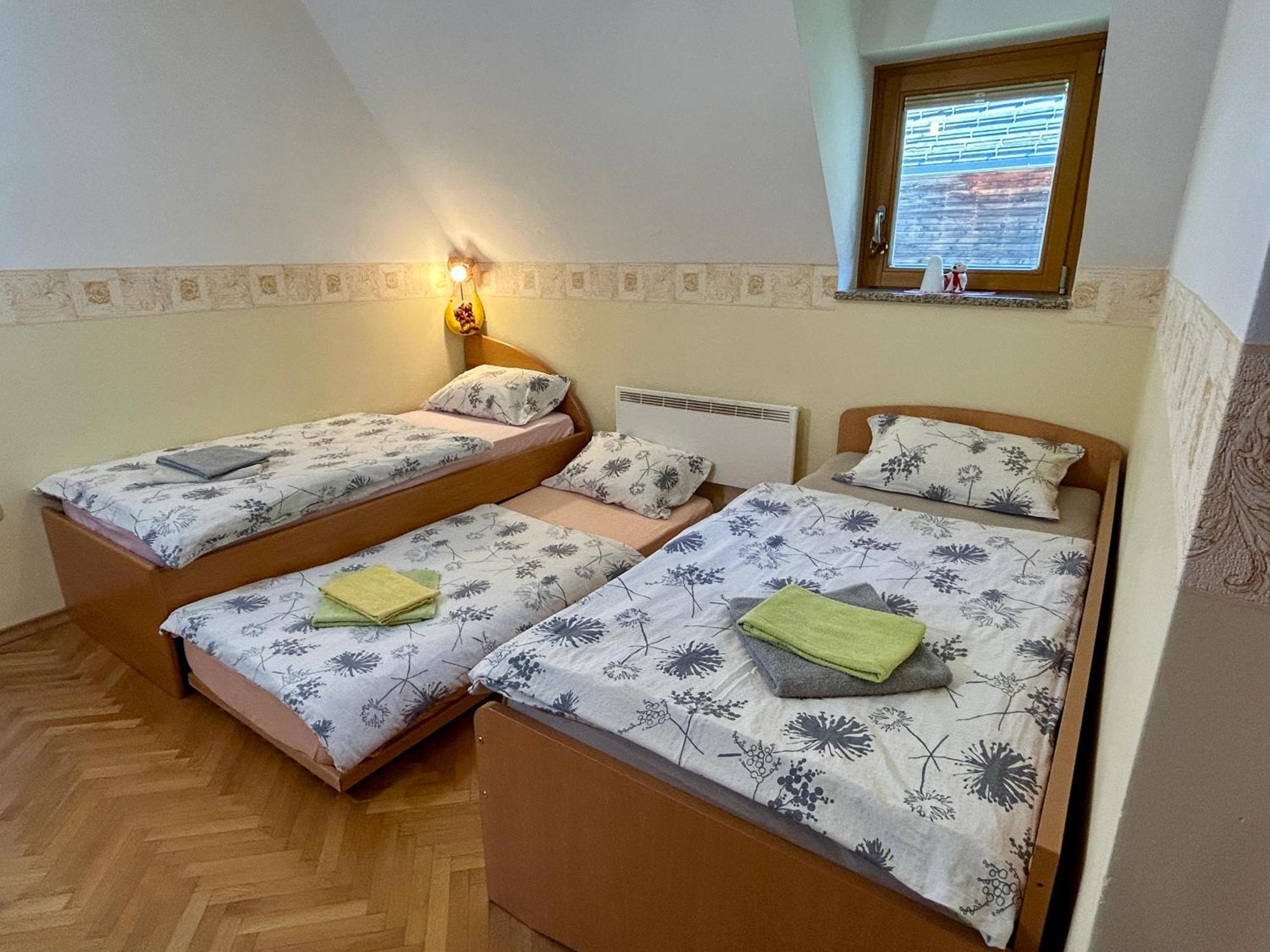 Apartment Crystal Rose Kranjska Gora Εξωτερικό φωτογραφία
